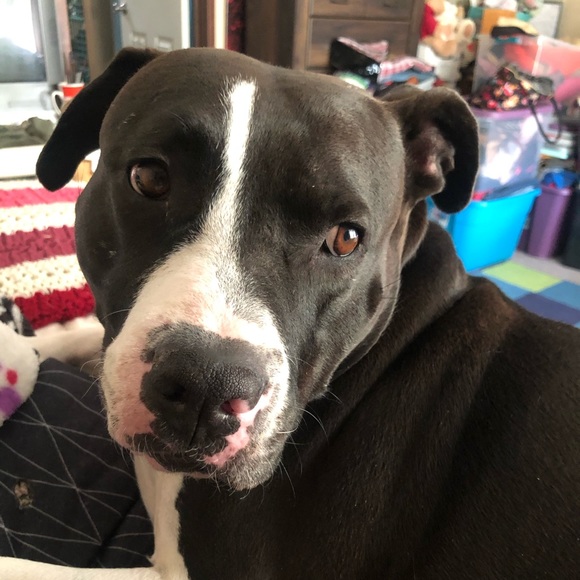 Meet your Posher, Jenny - Picture 6 of 9